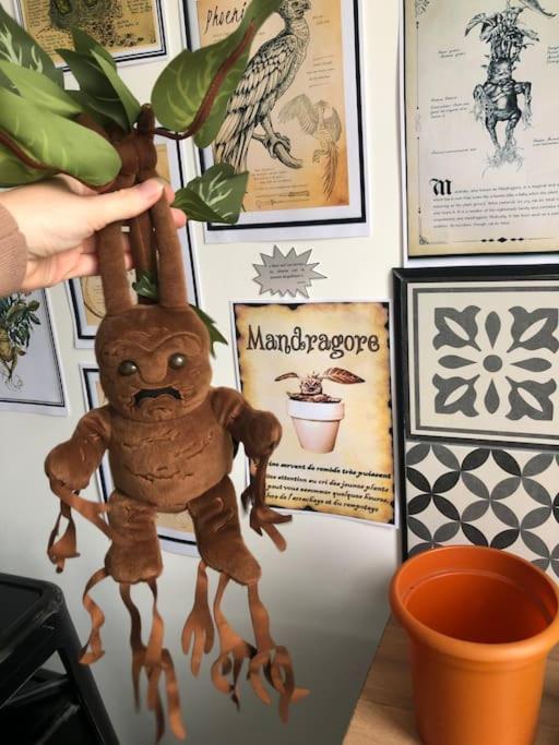 Maison Harry Potter Pour 6 Personnes En Centre Ville Montauban Exterior foto